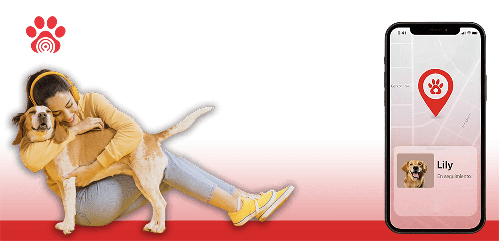 slider image 16184552193b4706ec-0